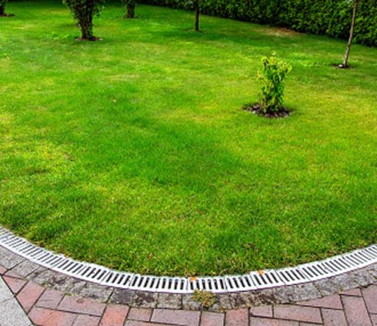 What-You-Need-to-Know-About-Drainage-Systems-on-readcrazy